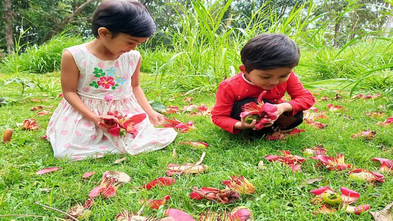 হার্ভার্ড গবেষকদের মতে স্ক্রিনমুক্ত এই ৮টি অভ্যাস শিশুর বুদ্ হার্ভার্ড গবেষকদের মতে স্ক্রিনমুক্ত এই ৮টি অভ্যাস শিশুর বুদ্