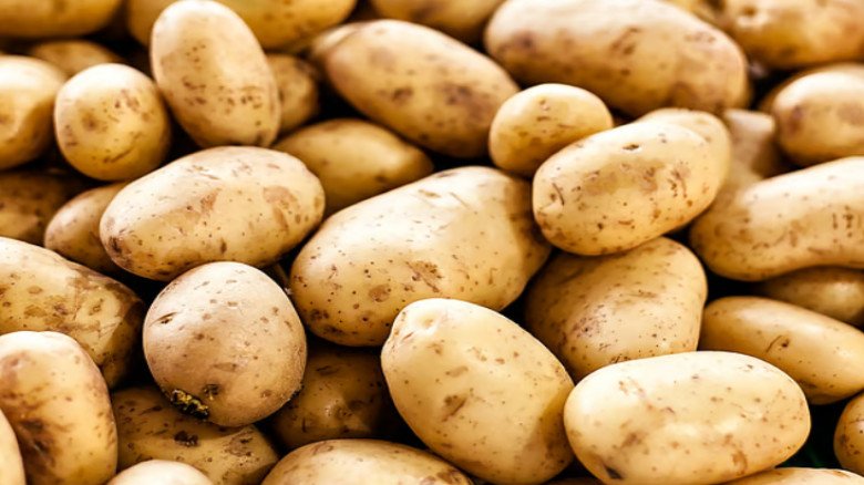 আধা লিটার পানির দামে এক কেজি আলু, কৃষকেরা বড় লোকসানে