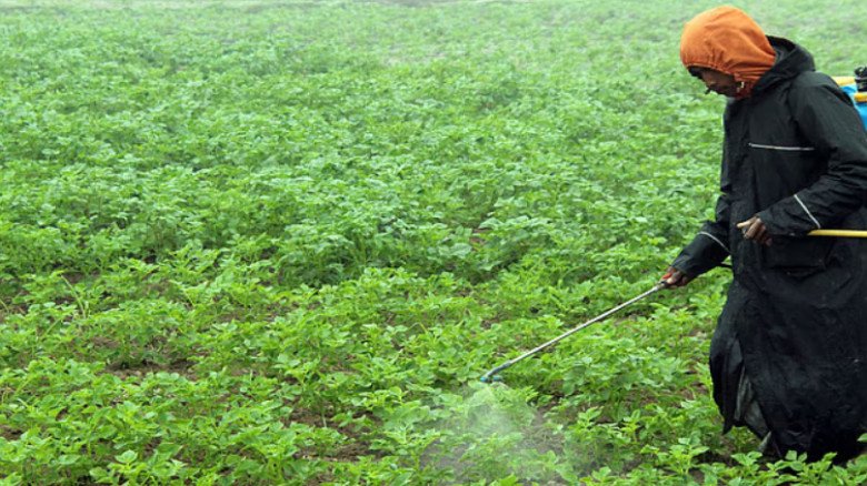 কীটনাশক উৎপাদনে শুল্কসুবিধা, দেশে উৎপাদন ও রপ্তানি বাড়ার আশ