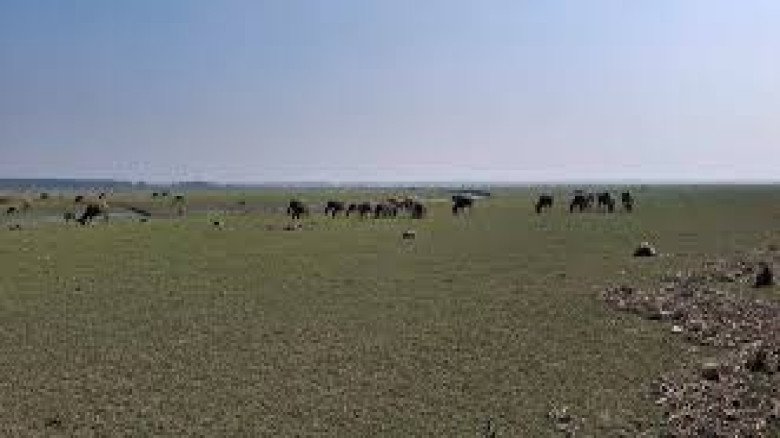 হাতিয়ার জাগলার চর দখলকে কেন্দ্র করে ত্রিমুখী সংঘর্ষে নিহত ৫, দখলে তিন সন্ত্রাসী বাহিনী